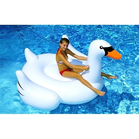 Swimline